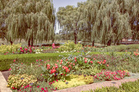 006 Chicago Botanical Gardens