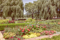 007 Chicago Botanical Gardens