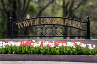 002  Tower Grove Park