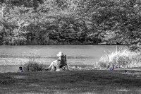008   Street Photography