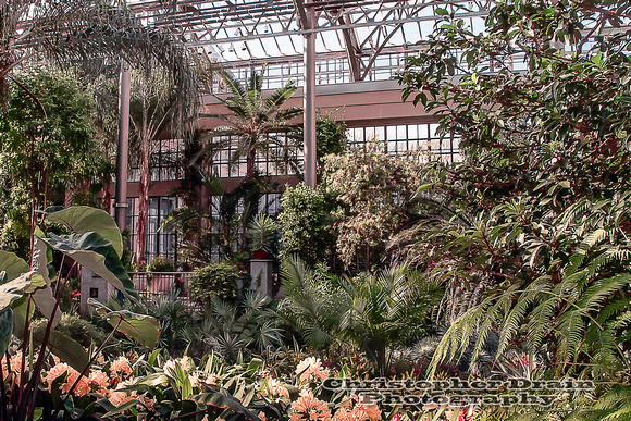 Christopher Drain Photography | Longwood Botanical Garden