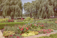 006 Chicago Botanical Gardens