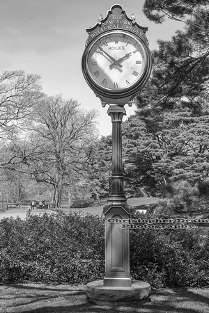 018  B&W Bronx BG