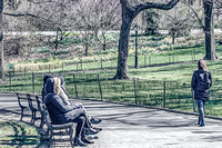 005   Painterly Central Park Spring